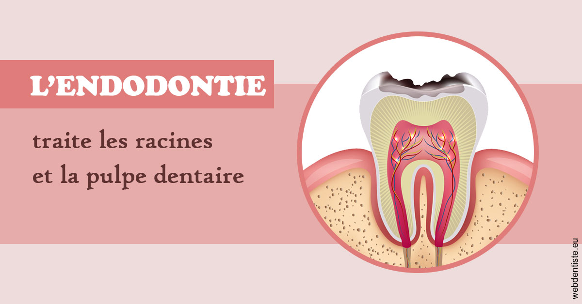 https://dr-dauby-tanya.chirurgiens-dentistes.fr/L'endodontie 2